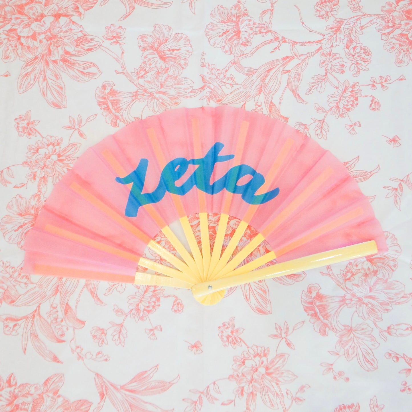 Sorority Gameday Fan