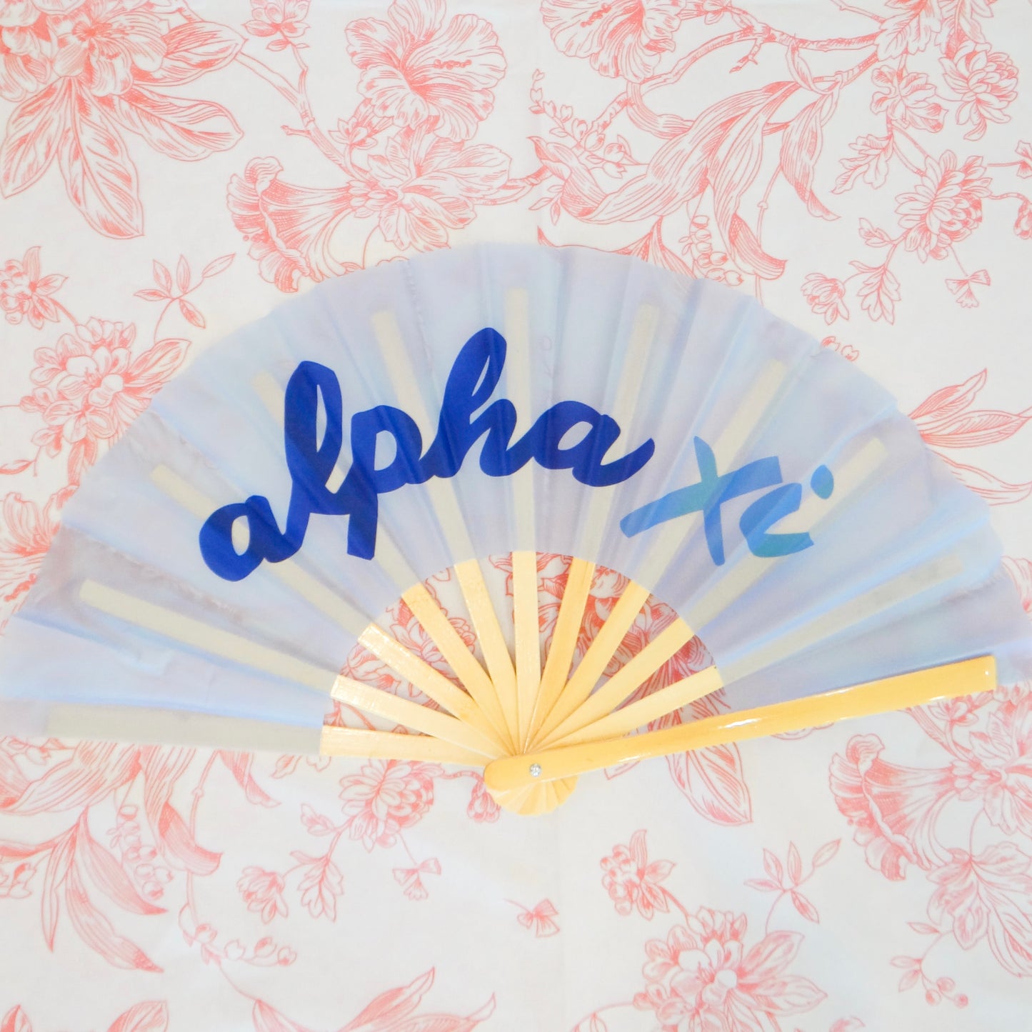 Sorority Gameday Fan