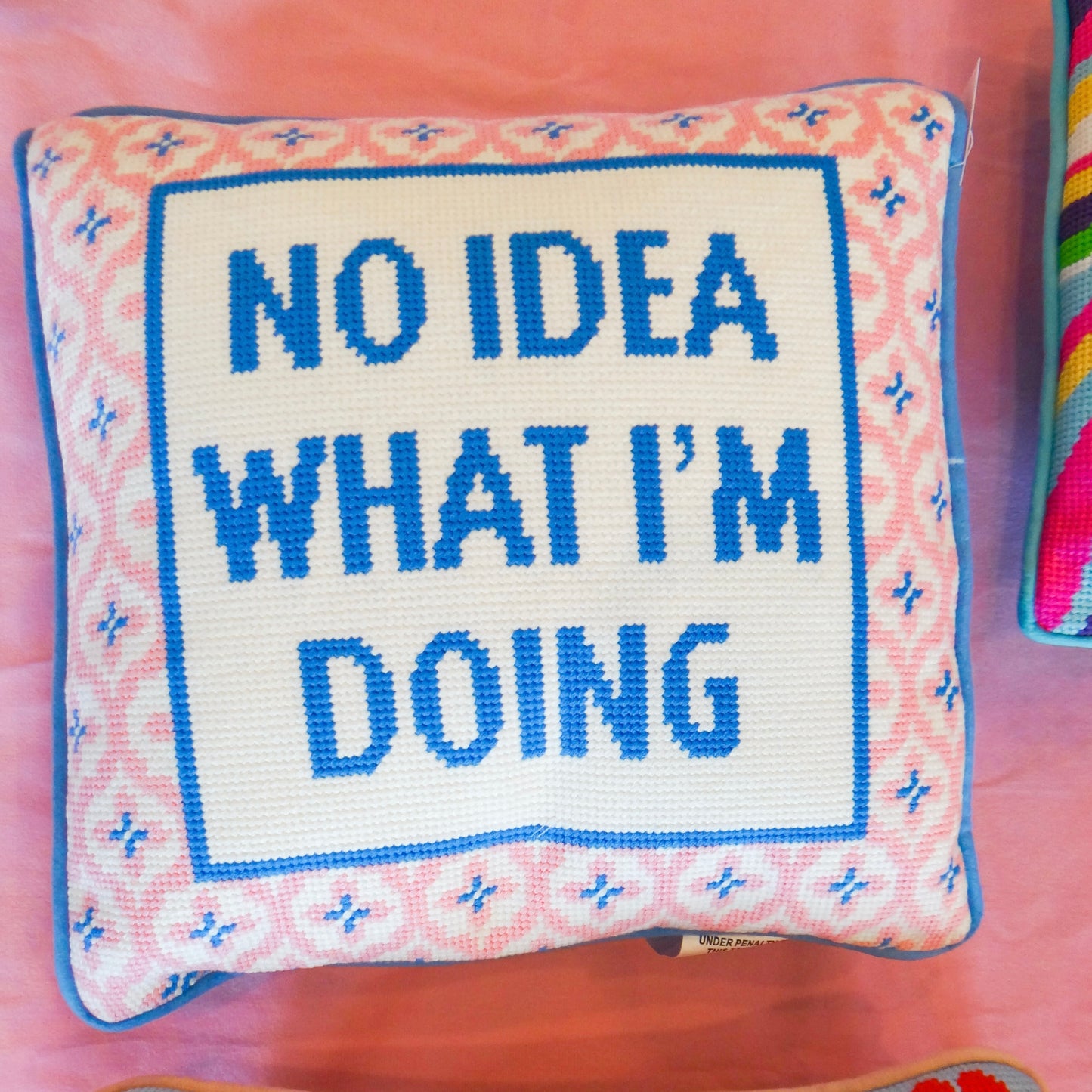 Hook and Needlepoint Pillows