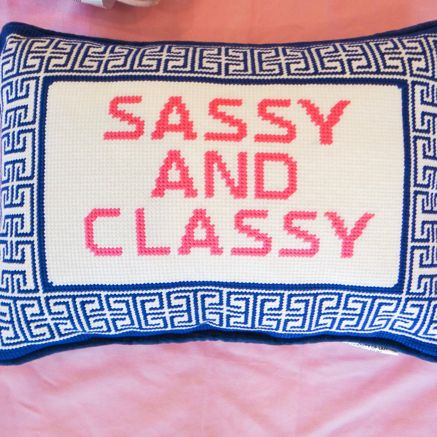 Hook and Needlepoint Pillows