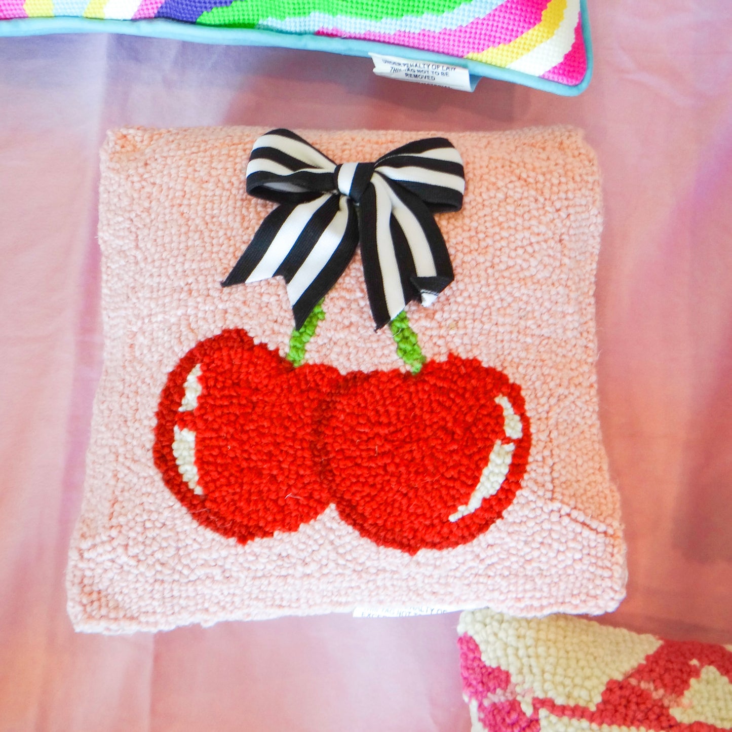 Hook and Needlepoint Pillows