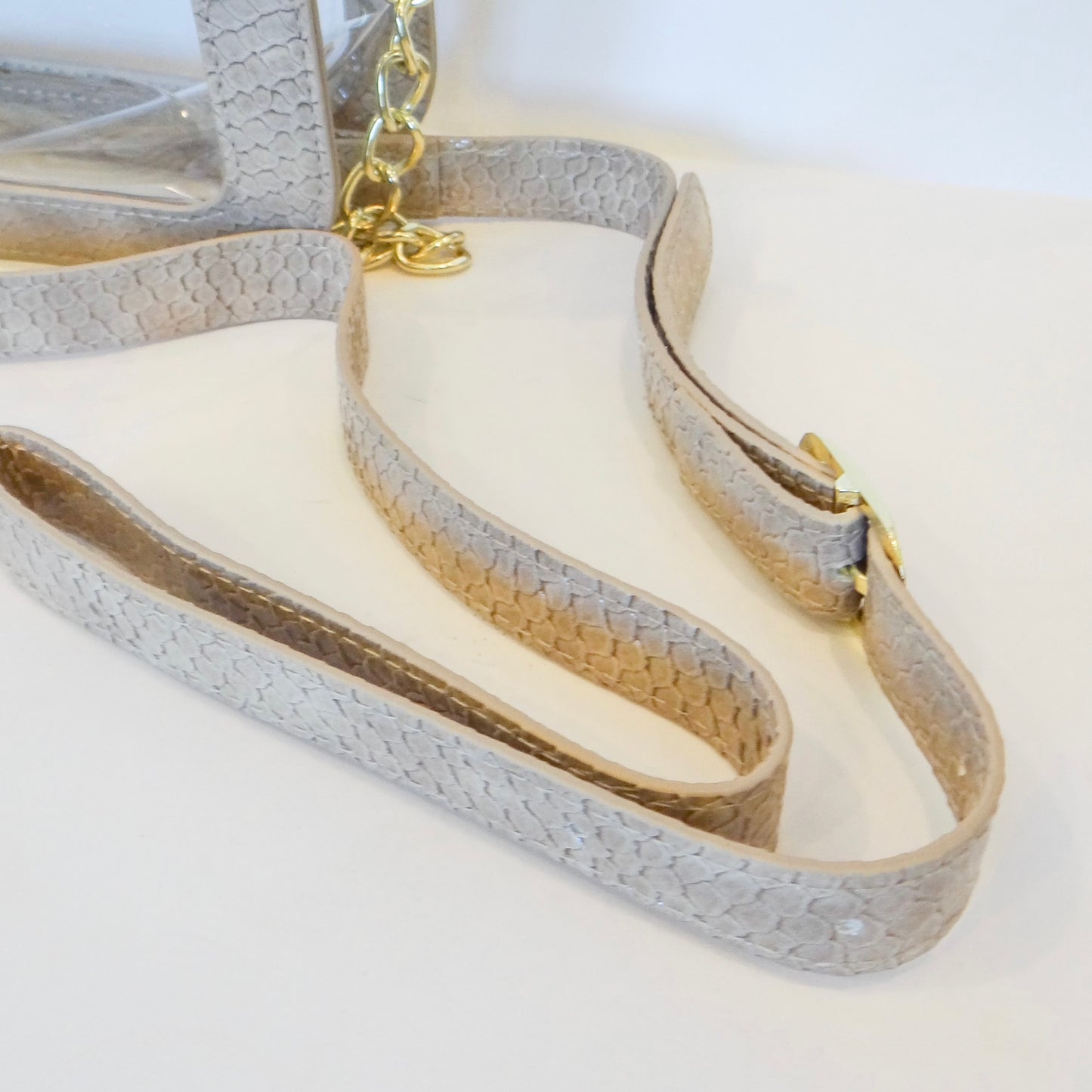 Clear Camera Crossbody