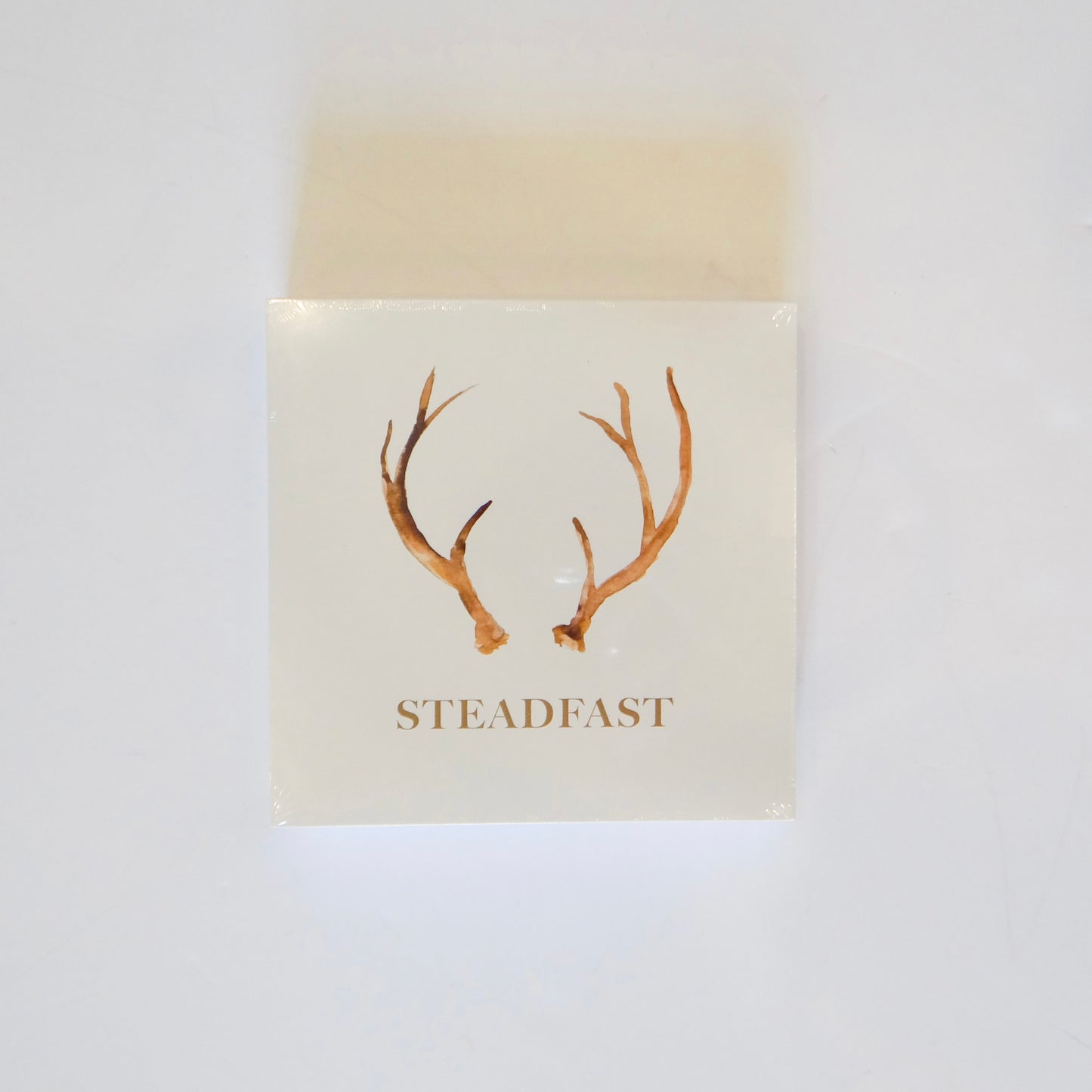 Steadfast Notepad