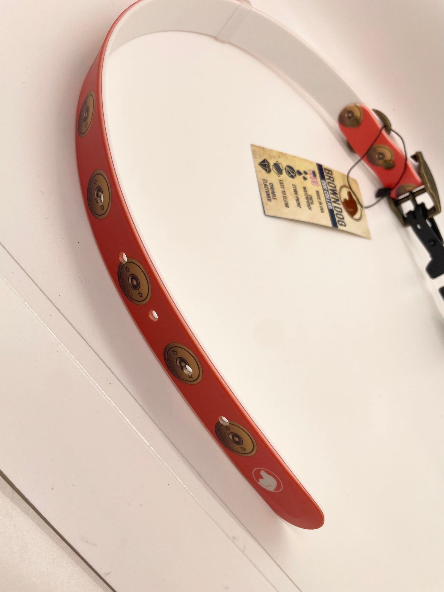 Brown Dog 12 Gauge Orange Dog Collar