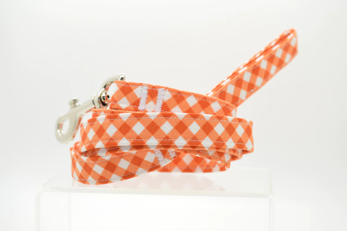 Dog Leash