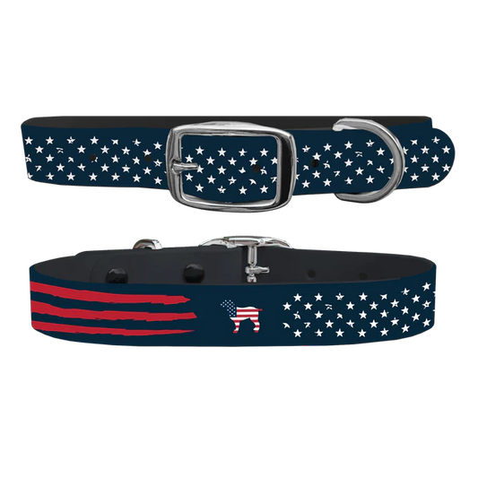 Brown Dog Navy Flag Dog Collar