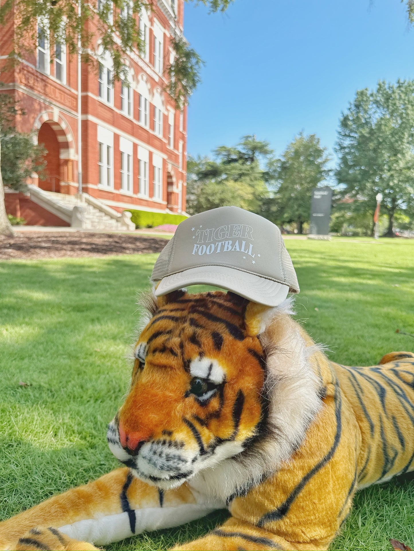 Trucker Hat