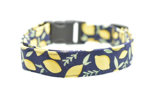 Dog Collar