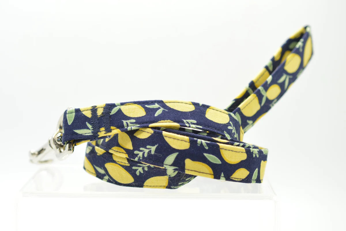 Dog Leash