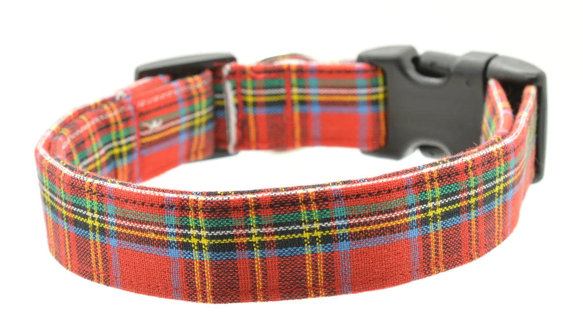 Dog Collar