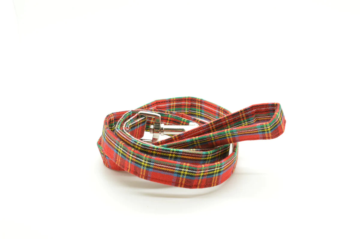 Dog Leash