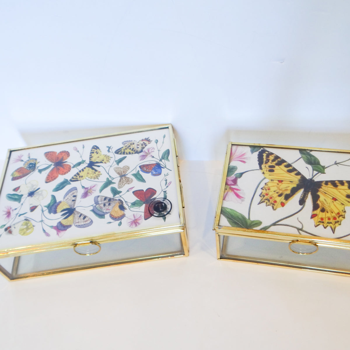 Glass and Brass Photo Boxes