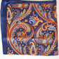 Paisley Plains Scarf
