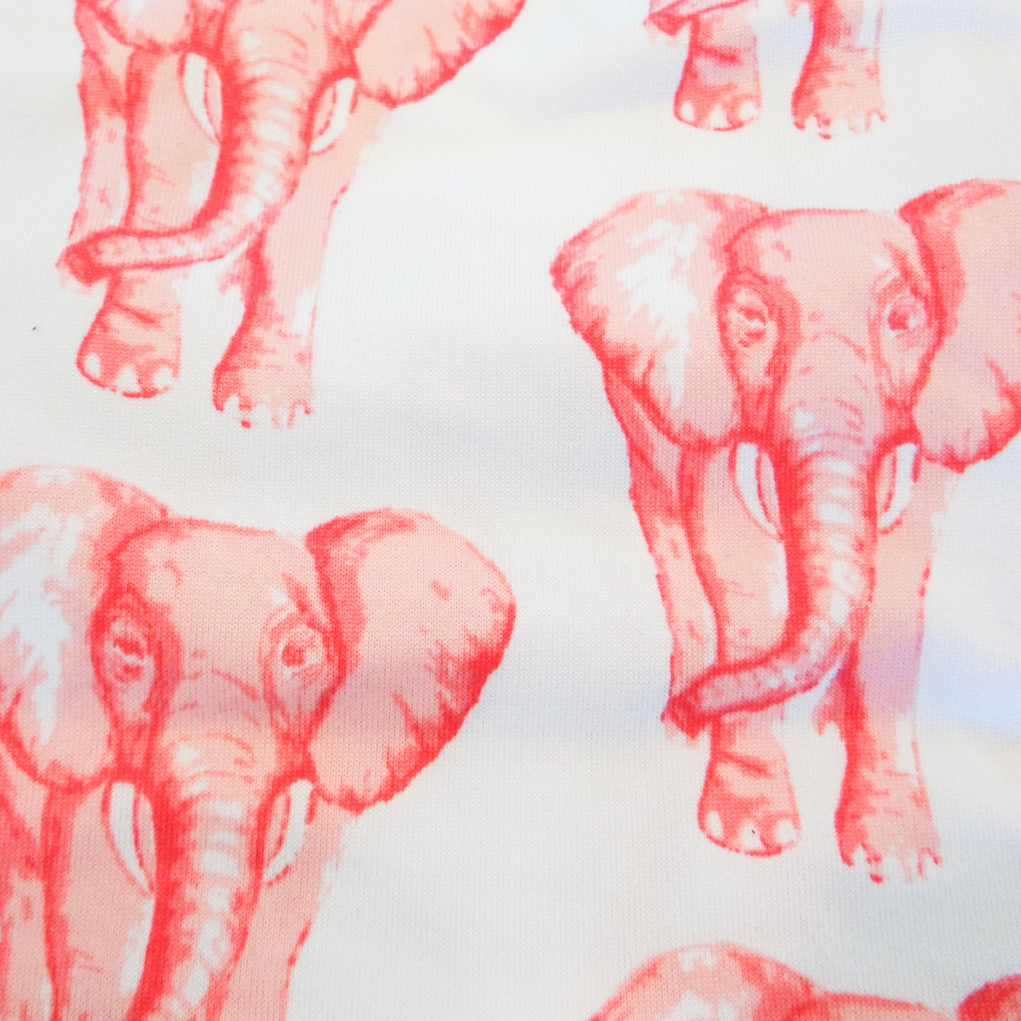 Elephant Stomp Dog Bandana