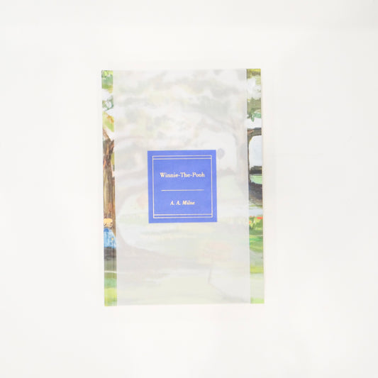 Winnie the Pooh Book