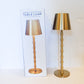 Gold Bamboo LED Cordless Lamp