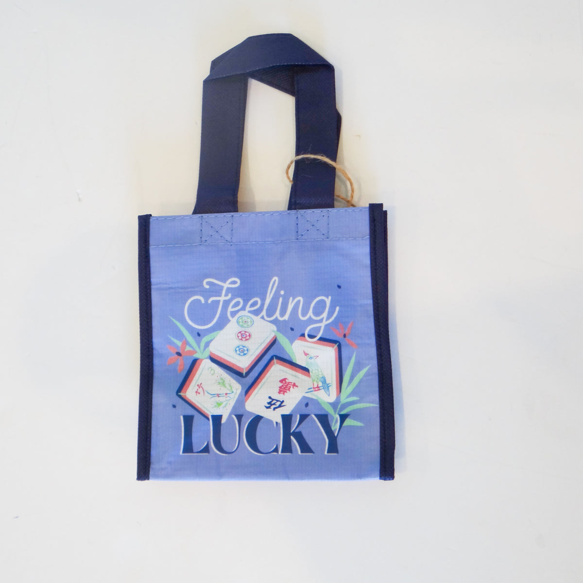 Feeling Lucky Gift Bag