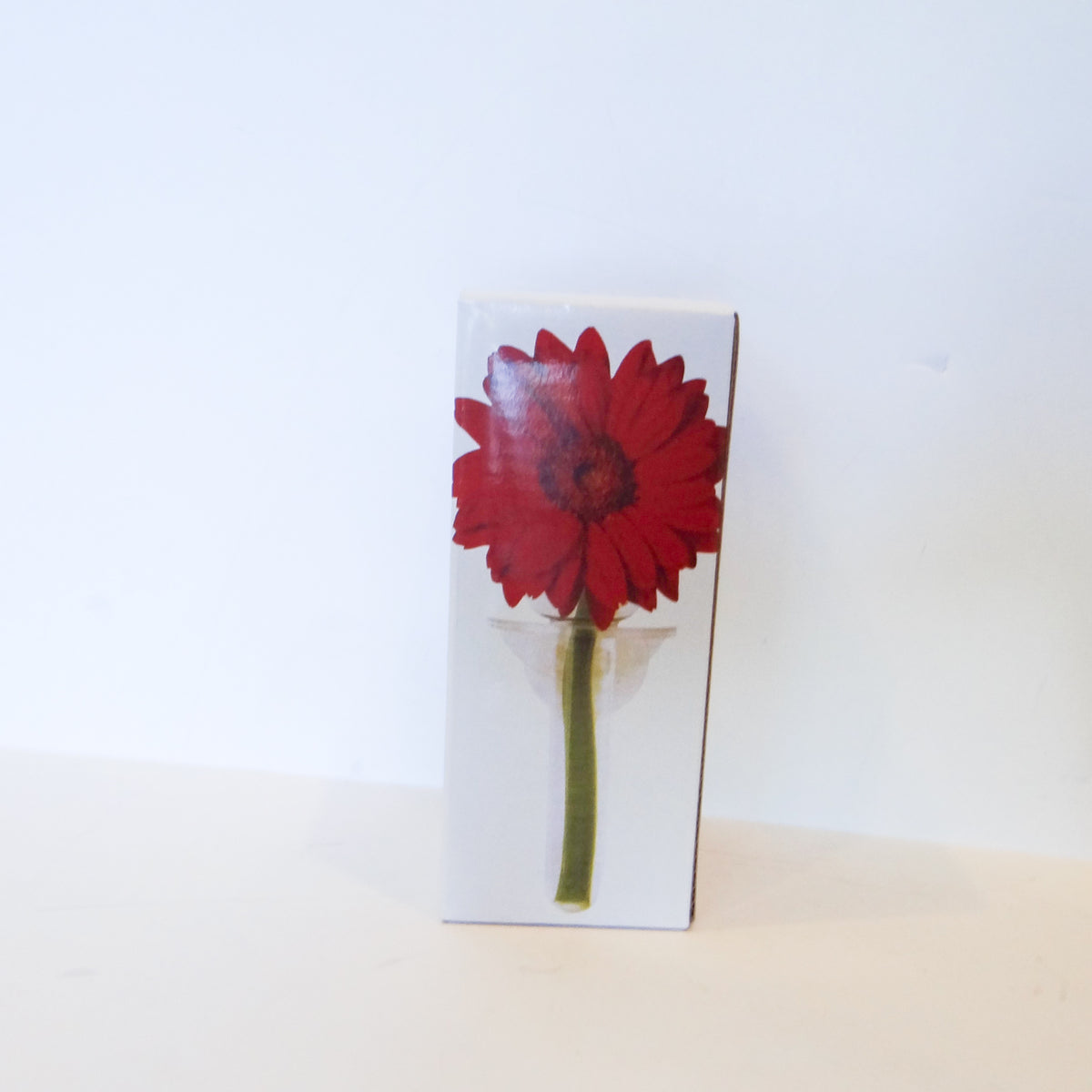 Wall Flower Vase