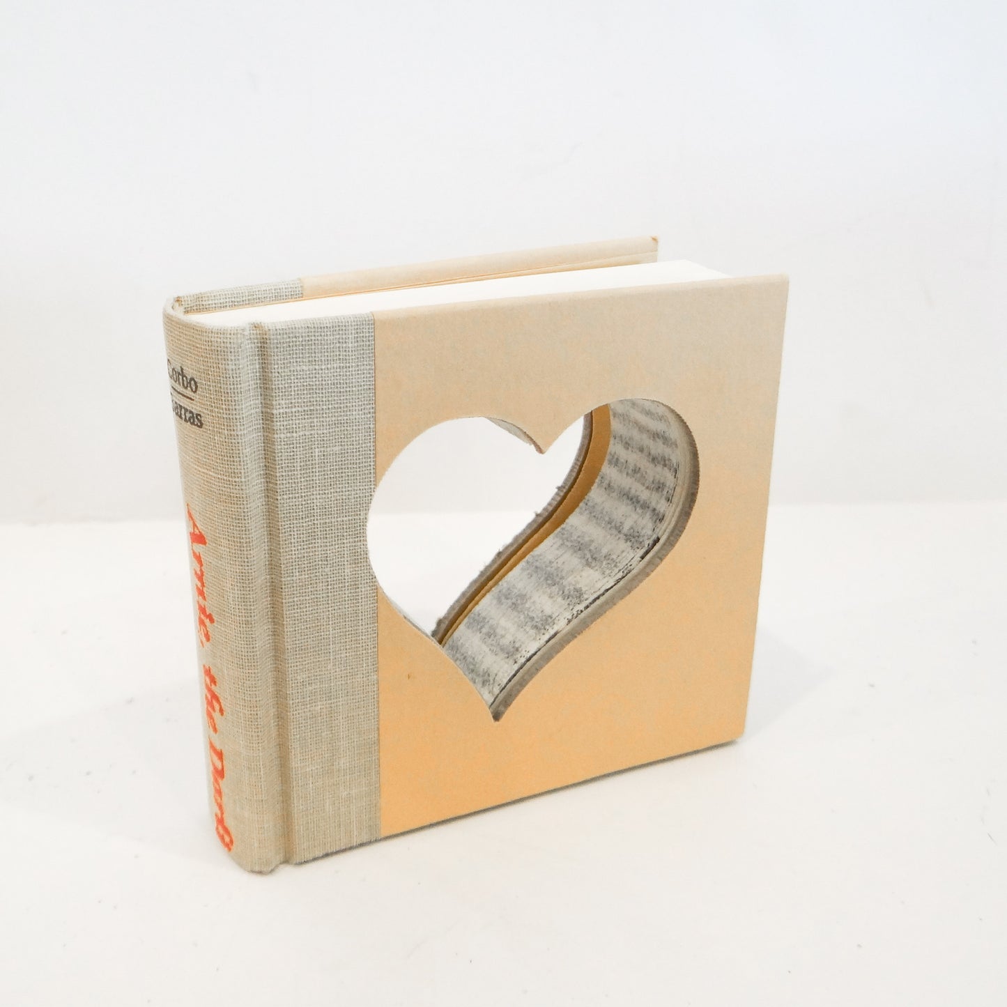 The Library Heart