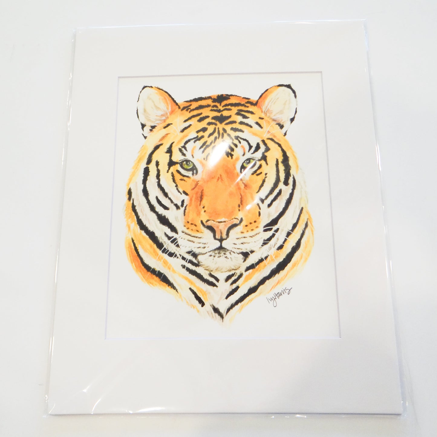 Freya Tiger 8x10 Art Print