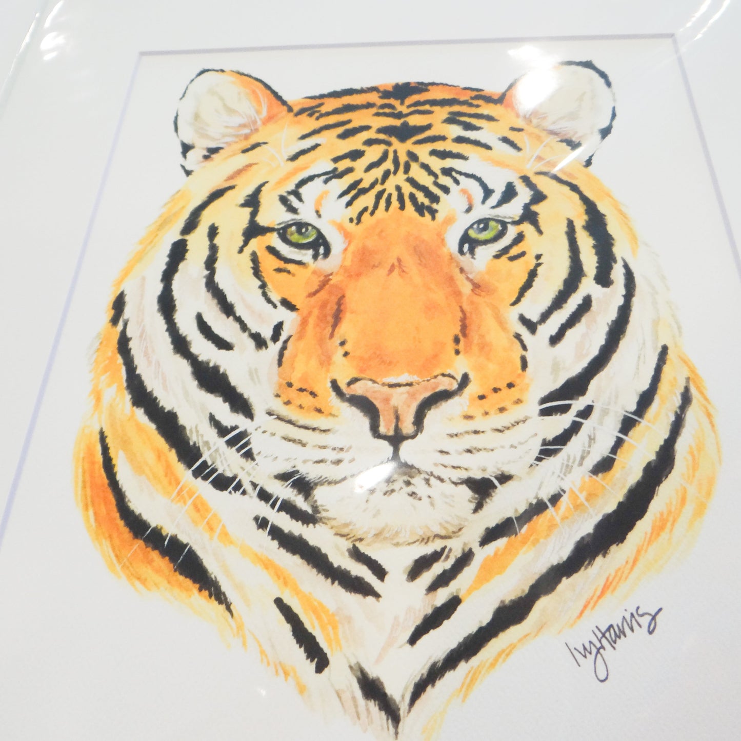 Freya Tiger 8x10 Art Print