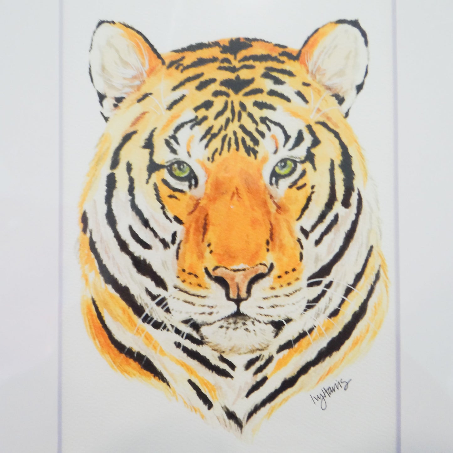 Freya Tiger 5x7 Art Print