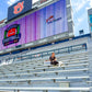 Auburn Toile Pajama Set
