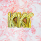 Sorority Shelf Letters