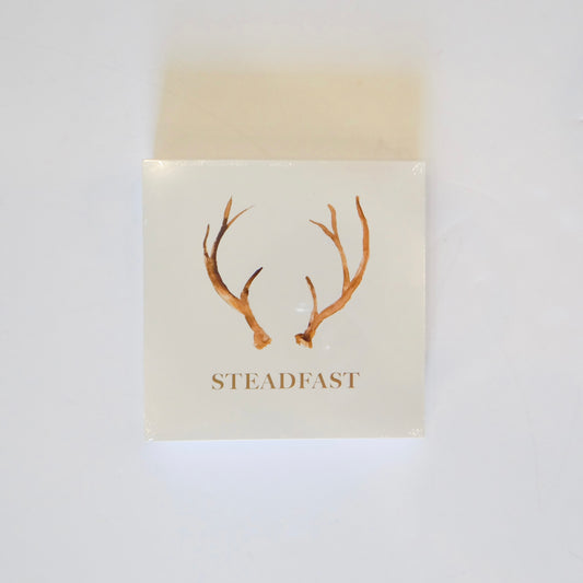 Steadfast Notepad