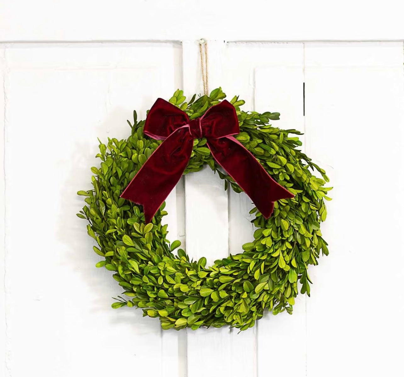 Christmas Preserved Boxwood Wreath 13"