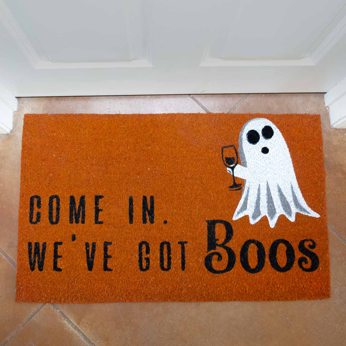 We've Got Boos Coir Doormat